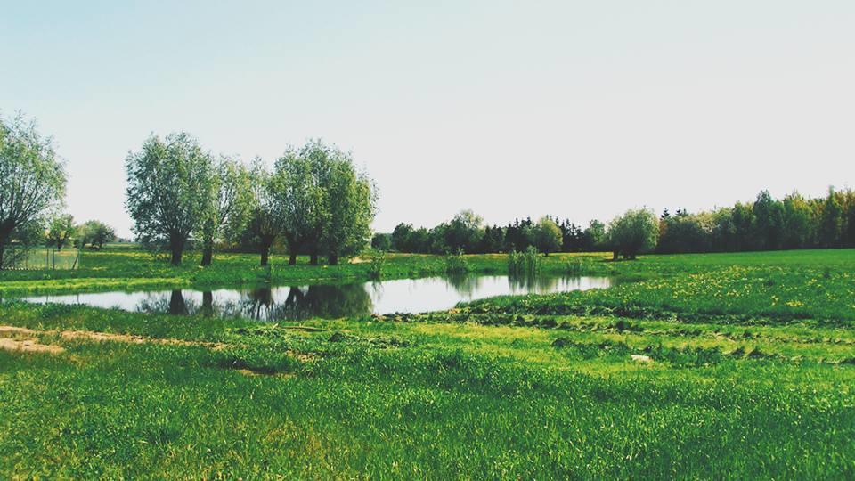 Chata Za Wsia Skaszewo Luaran gambar